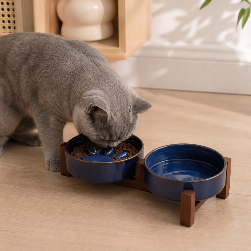 ชามอาหารสัตว์เลี้ยงเซรามิกสไตล - Royal Canin Food Medium บทวิจารณ์และราคา